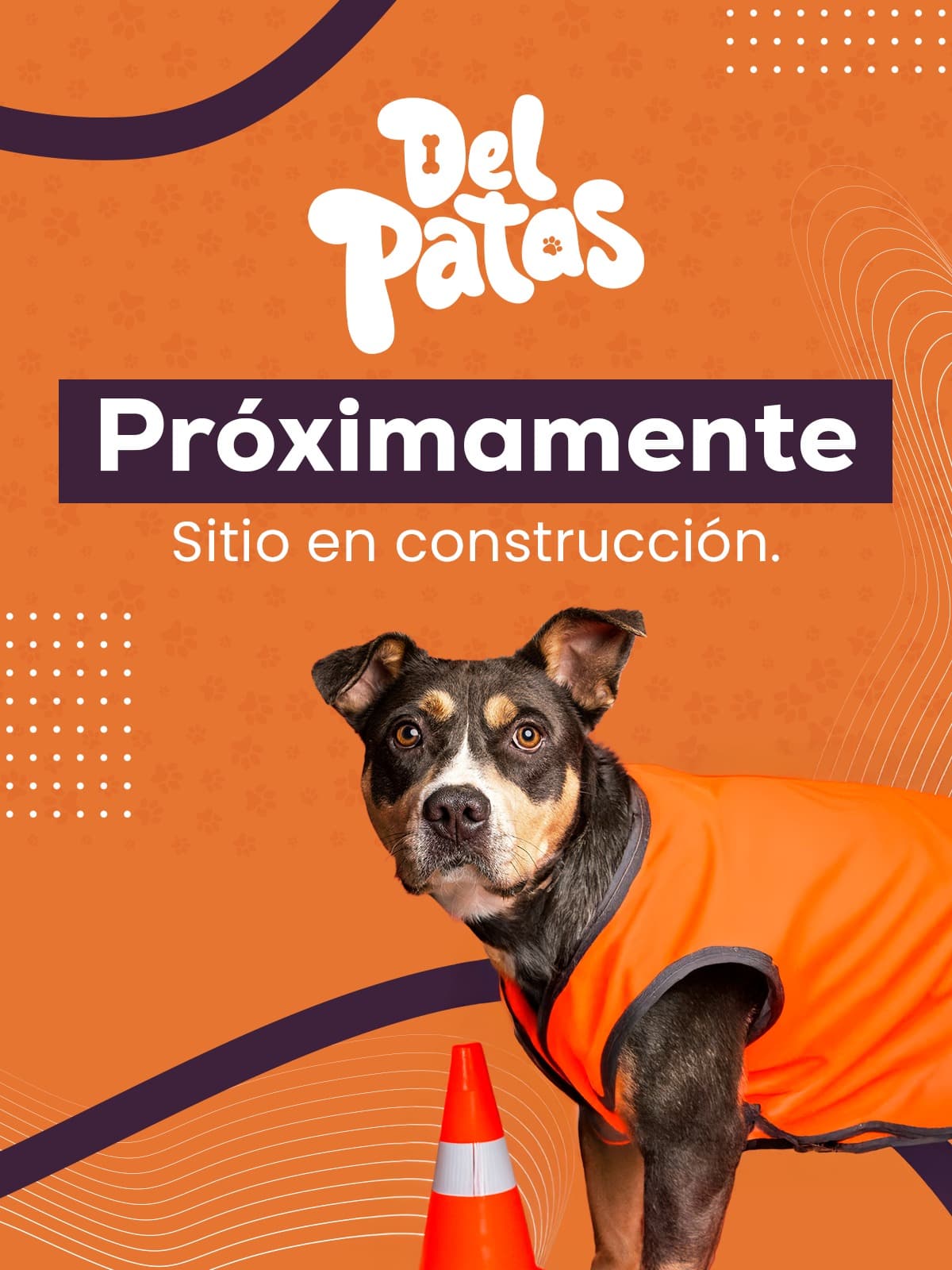 Próximo lanzamiento - Tablet